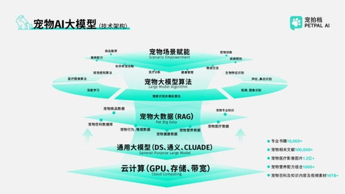 政企共鉴，智启新程 宠拍档亮相全国服务消费季特色成果展，技术咨询服务引发关注