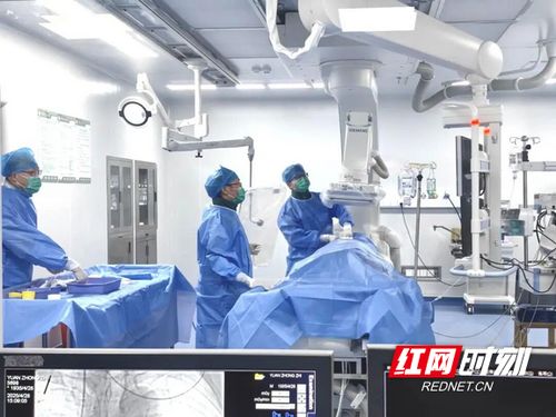 汝城县人民医院获评心血管疾病防治技术牵头单位，引领区域健康服务新篇章