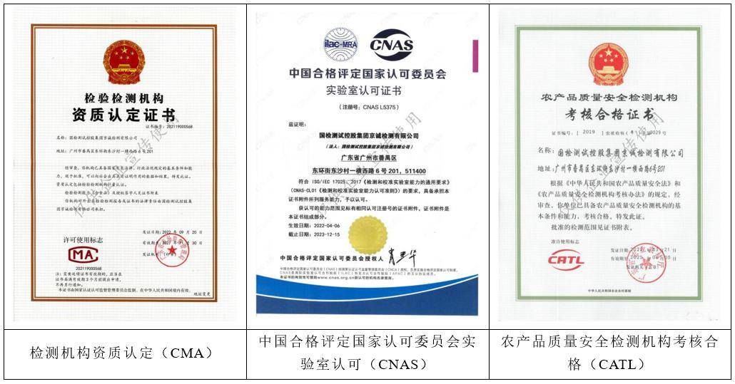 中国国检测试控股集团 引领环保技术咨询与服务的卓越获证单位