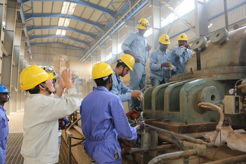 兰州石化技术服务出海 以专业实力叩开非洲市场大门